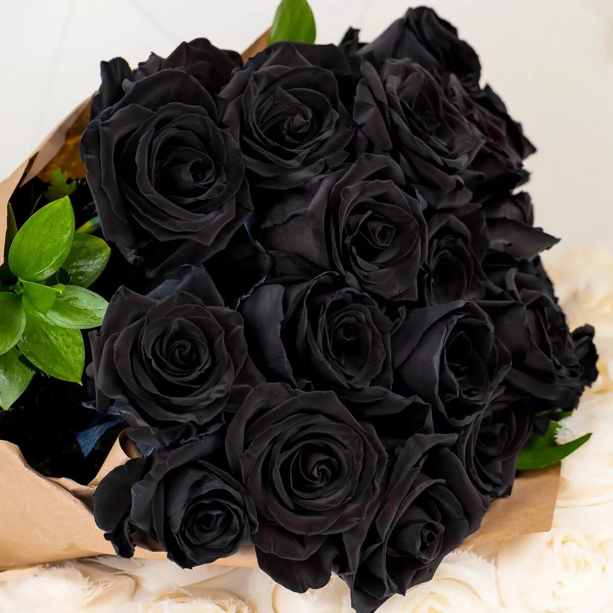 Какие black
