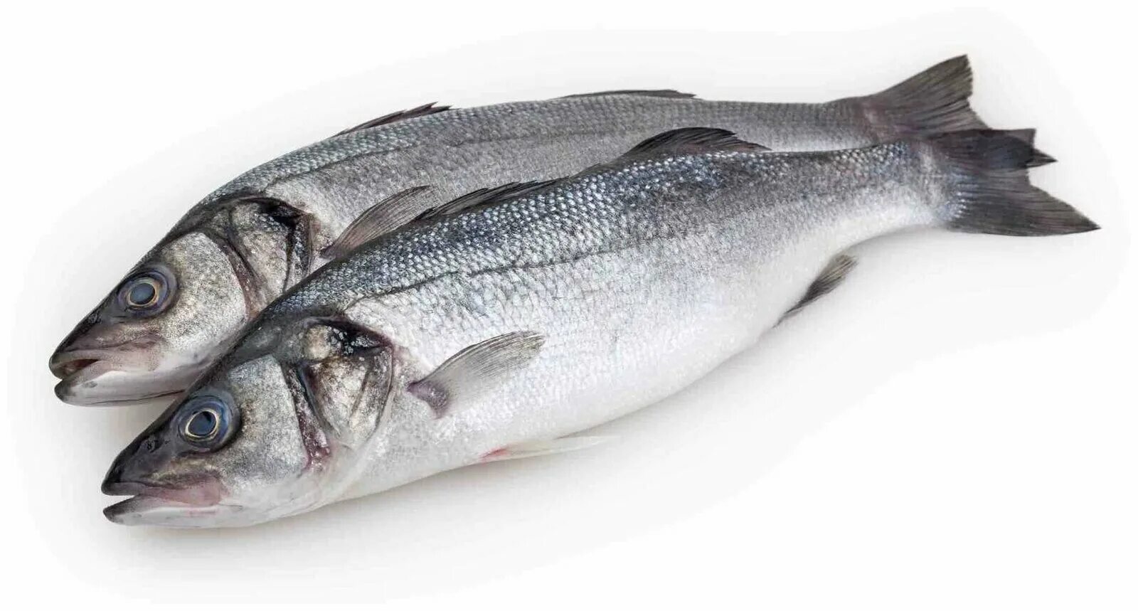 Лососеобразные горбуша. Scp господин рыба. Рыба раскасс. Горбуша потрошенная. Scp господин рыба.