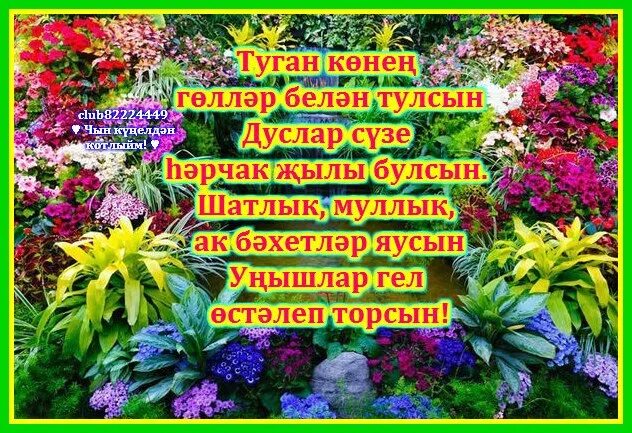 Лилия туган конен. Туган кон открытка. Телэклэр. Открытки туган кон белэн. Туган кон белэн мужчине.