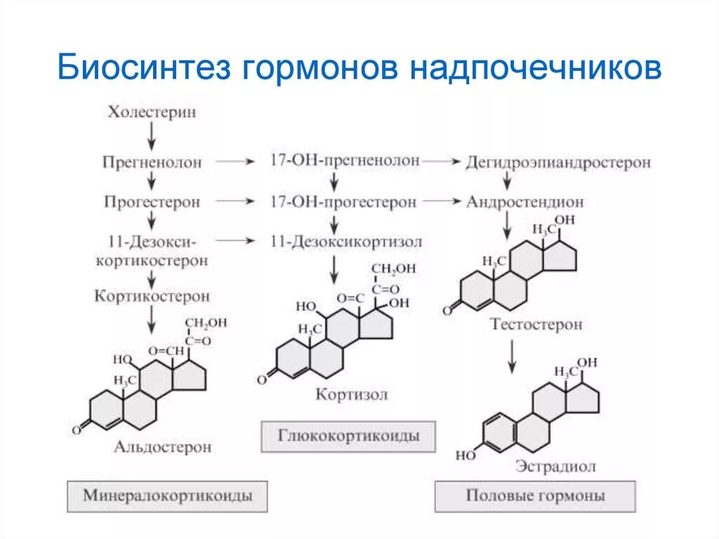 Ферменты холестерина. Схема биосинтеза стероидных гормонов в коре надпочечников. Схема синтеза гормонов надпочечников. Схема биосинтеза гормонов коры надпочечников. Схема синтеза стероидных гормонов биохимия.