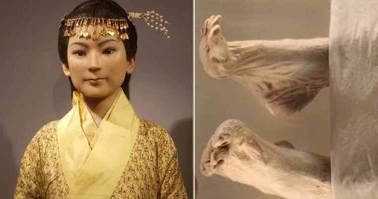 Дай китай. Китайская мумия синь чжуй. Китайская субкультура ханьфу. Леди дай китай фото. Дай китай.