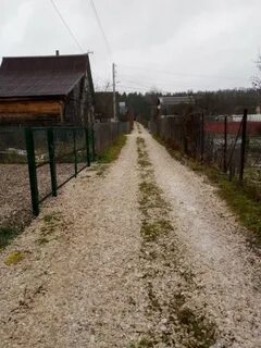 Снт мелиоратор владимирская область
