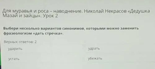 Микромир муравьёв макрофото. Макросъемка воды. Насекомые на болоте. Для муравья и роса наводнение. Муравей пьёт росу.