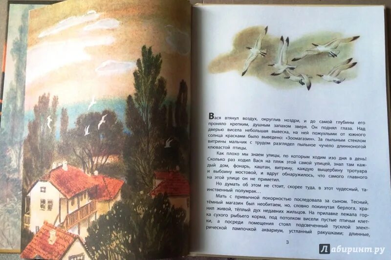 Нагибин старая черепаха. Книга старая черепаха нагибин. книга сказки старой черепахи. старая черепаха нагибин кроссворд.