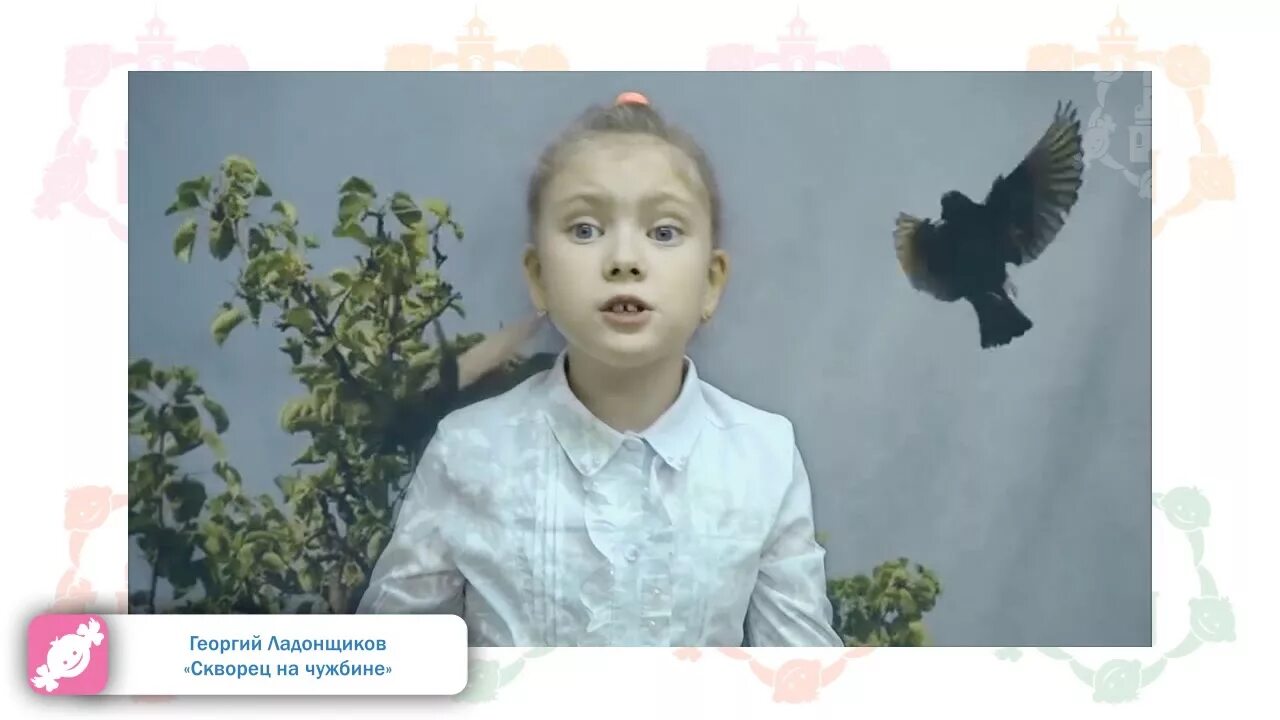 Ладонщиков скворец. Скворец на чужбине ладонщиков. стих скворец на чужбине. скворец на чужбине ладонщиков иллюстрации.