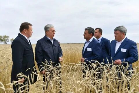 Казахстан сев каз обл
