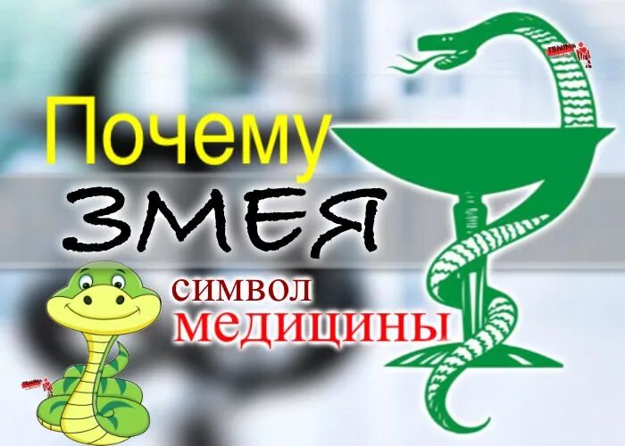 Какой символ медицины