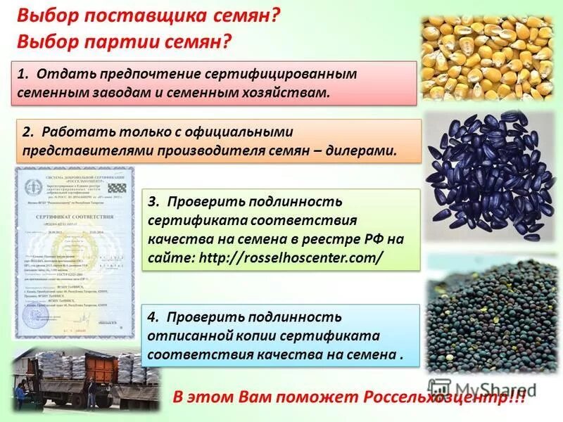 Сайты производителей семян