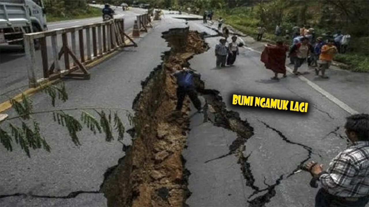 Животные при приближающемся землетрясении. Earthquake funny pictures. Признаки приближающегося землетрясения фото.