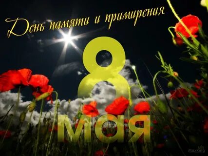 2 8 мая