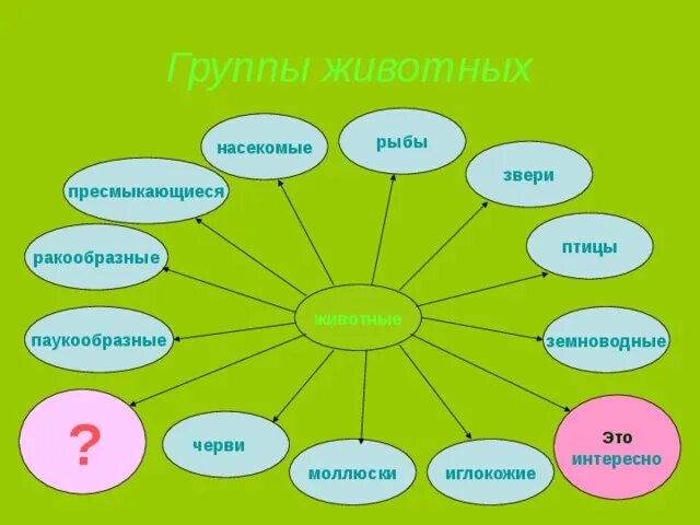 Презентация многообразие животных 1 класс. Группы животных. Группы животных рыбы птицы земноводные пресмыкающиеся. Птицы земноводные рыбы звери пресмыкающиеся насекомые это животные. Группа животных насекомые.