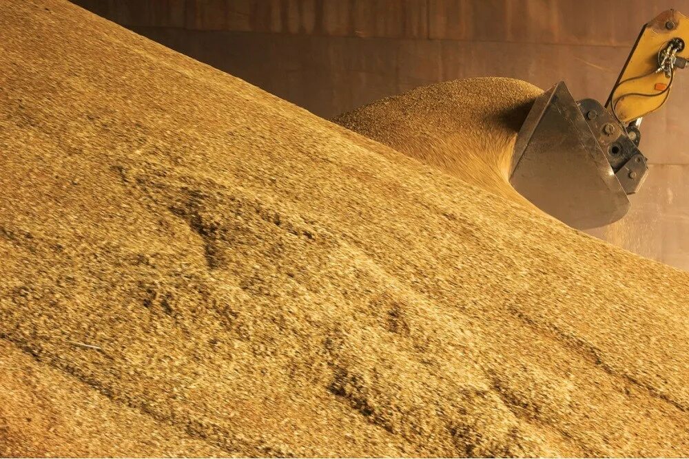 Зерно после очистки. Вагоны с зерном. Груды зерна. Зерно в мире. Молдавия зерно.