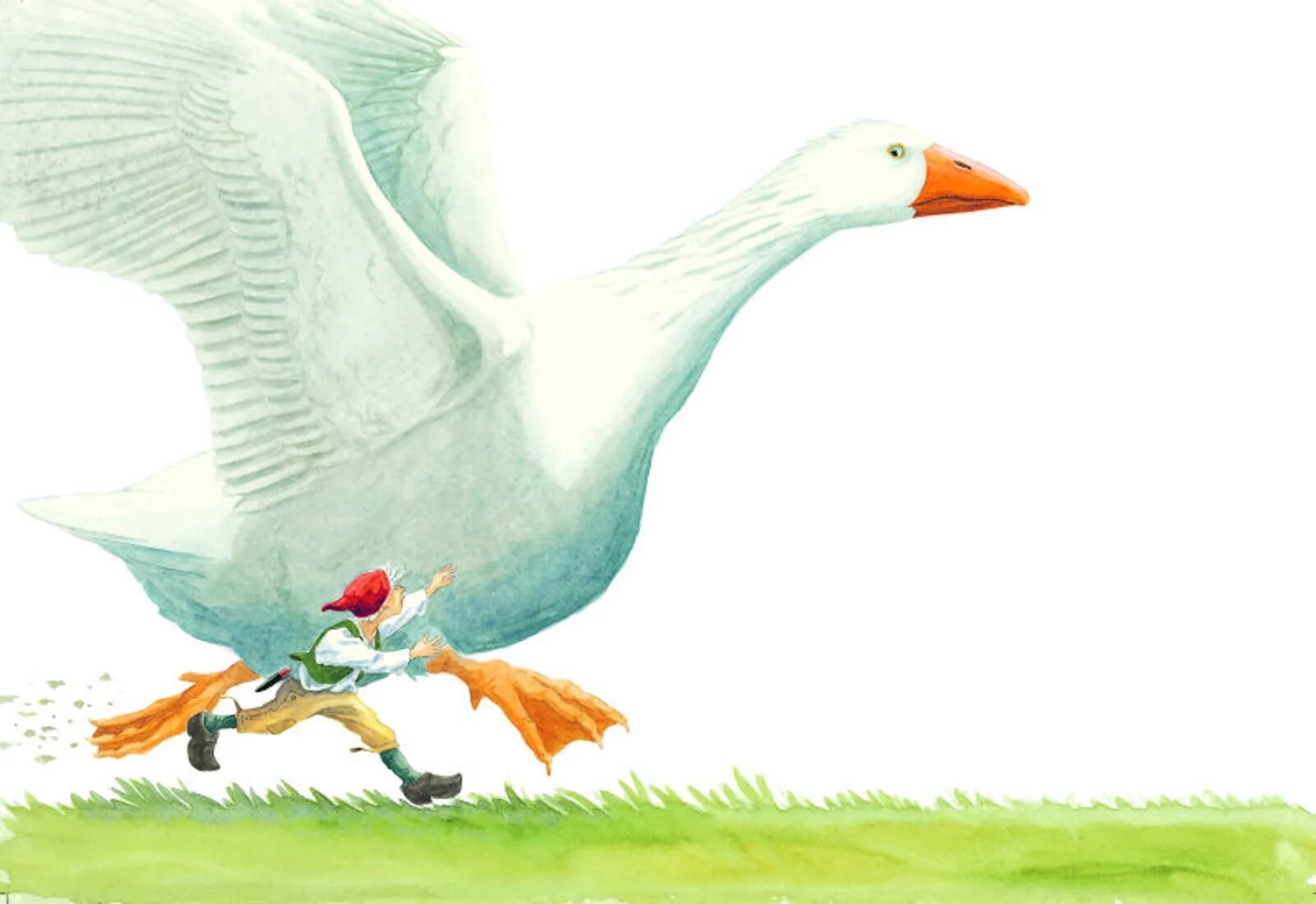 Картинка гуси для детей из сказки. Иллюстрация к сказке гуси лебеди для детей. Гусь рисунок. Картинки из сказок. Чешский гусь для декупажа.