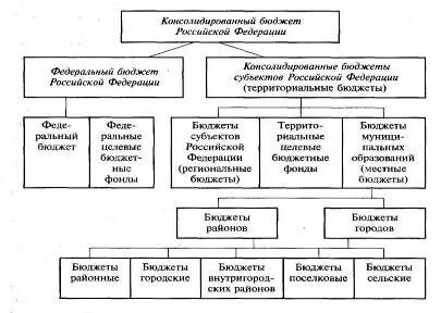 Институты бюджетной системы