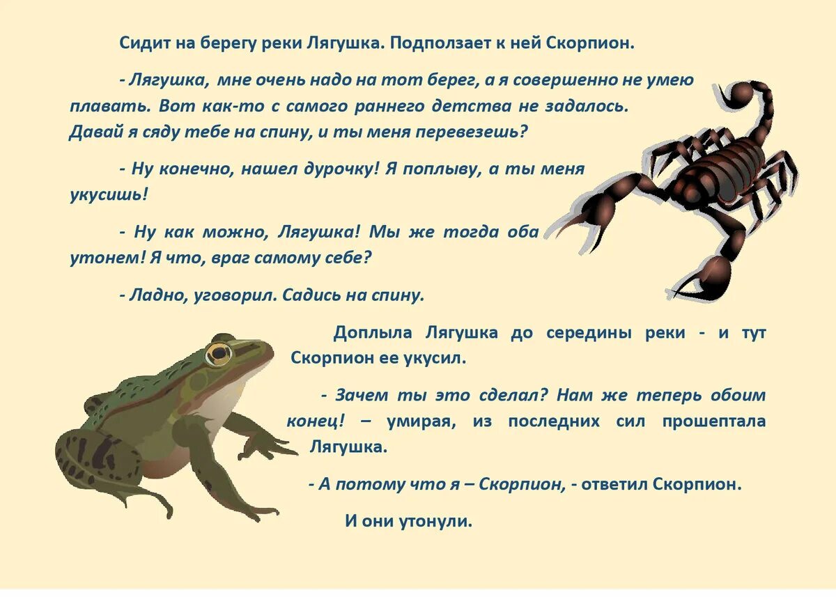 Притчи про змей. Притча о Скорпионе и лягушке. Сказка о Скорпионе и лягушке. Скорпион и лягушка. Басня про скорпиона и лягушку.