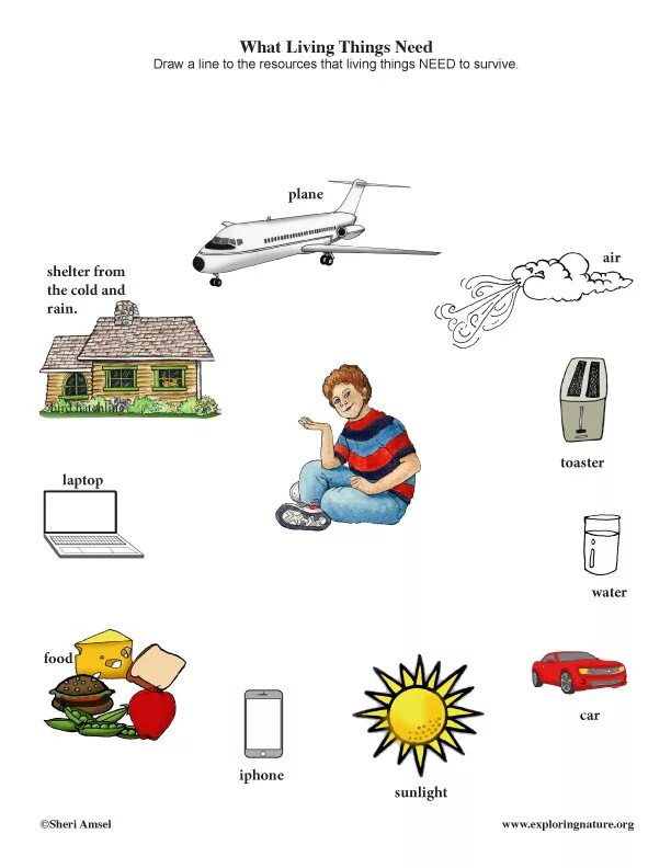These things is what to do. Need Worksheets. Need want Worksheets. What - a thing. Things needed for drawing.