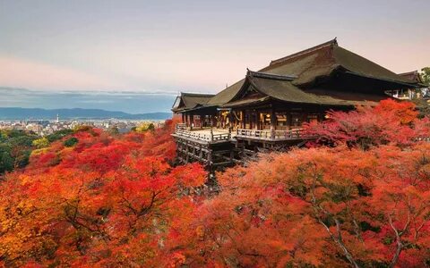 Injapan
