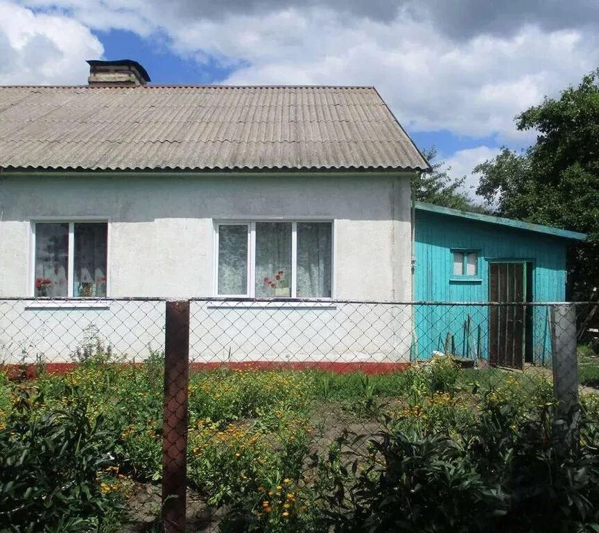 Село Береговое Прохоровский район. Белгородская обл, Прохоровский р-н, село Береговое-первое. Село Береговое первое Прохоровский район Белгородская.