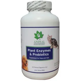 Plant enzymes now