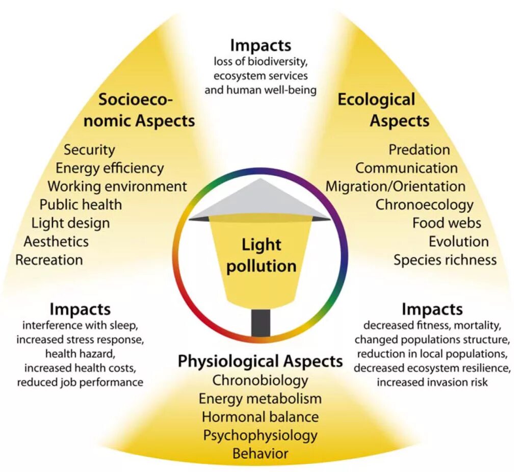 Environmental pollution and Human Health. Impact on the environment. Human Impact on the environment. Environment and Human Health.