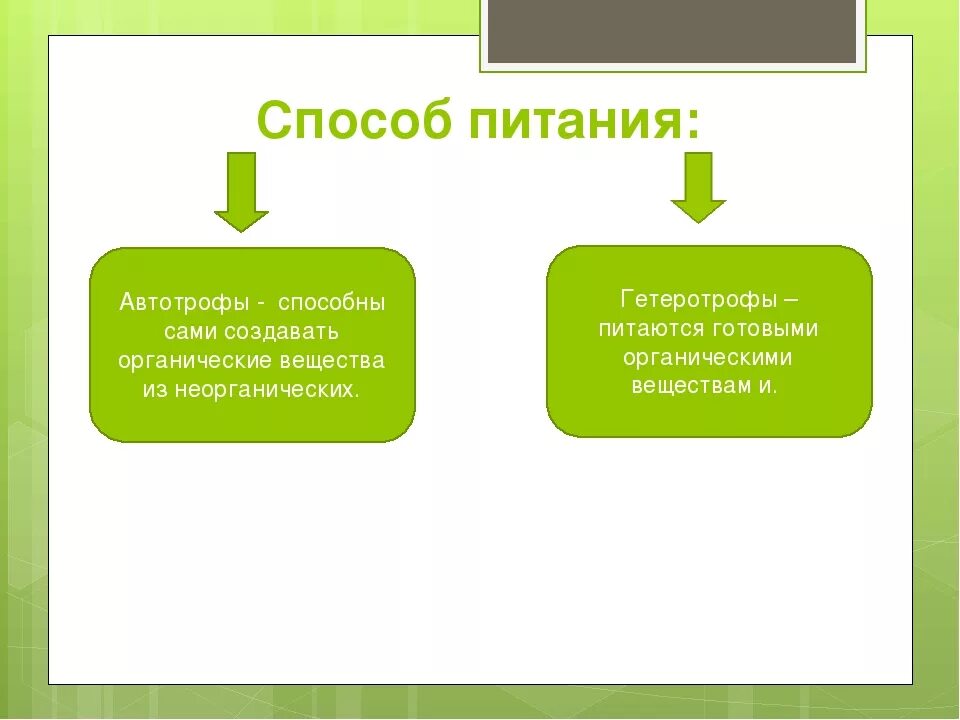 Автотрофный и гетеротрофный способ питания. Способы питания автотрофы гетеротрофы. Питание клетки 5 класс автотрофы и гетеротрофы. Афто трофный вид питания.