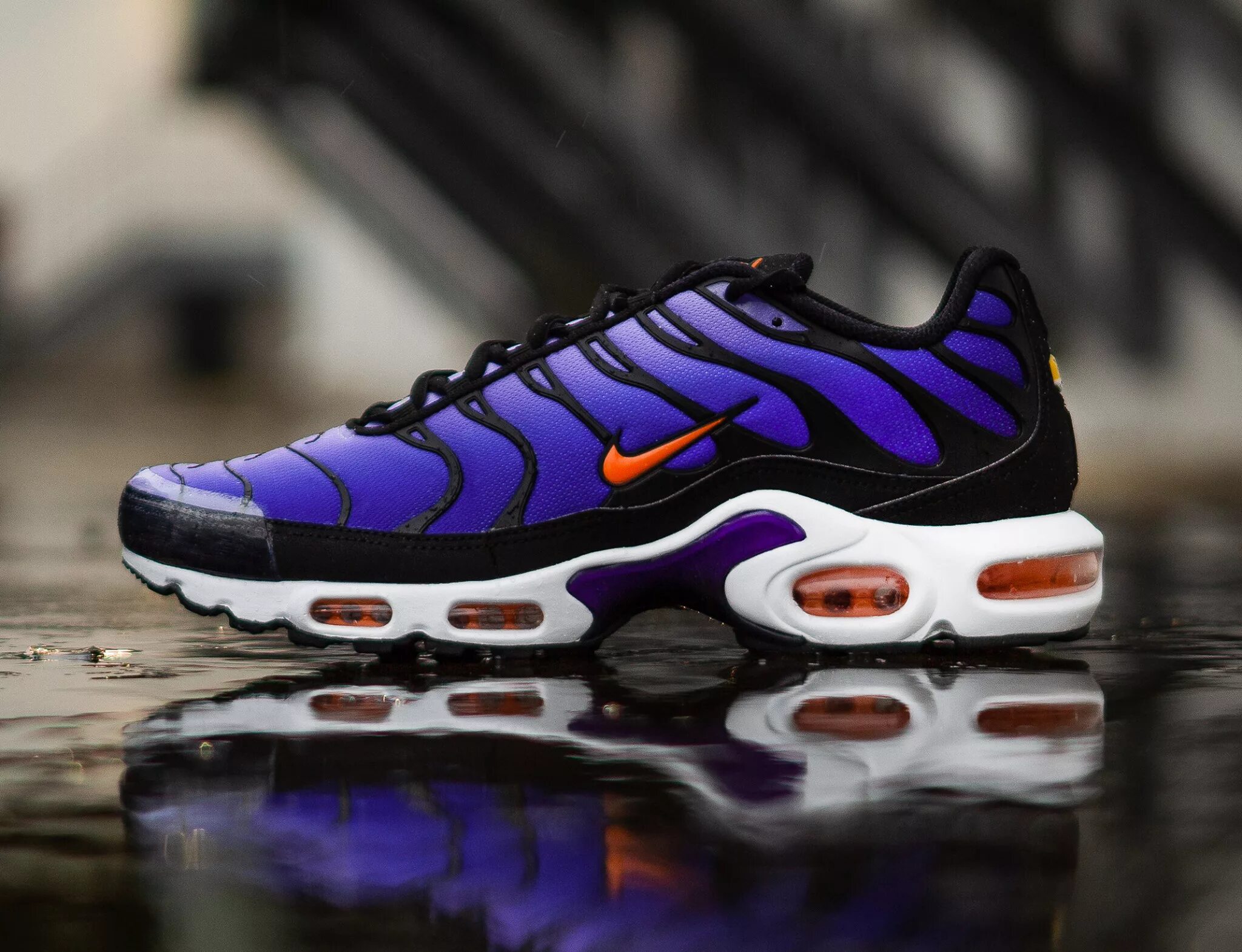 Найк тн макс. Nike Air Max TN. Nike Air Max TN Plus og. Nike TN Plus фиолетовые. Nike Air Max Plus 3 Purple.