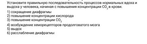Установите последовательность процессов вдоха увеличение объема