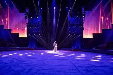 Вегас сити концерты