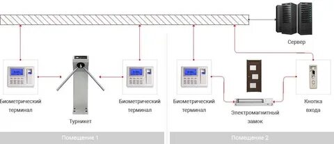 Система контроля жизни