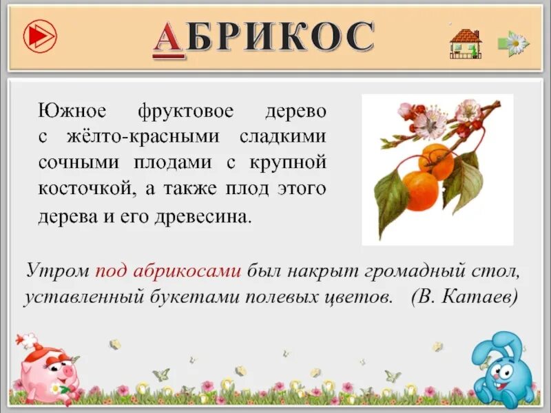 Кроме фруктовых деревьев составить предложение