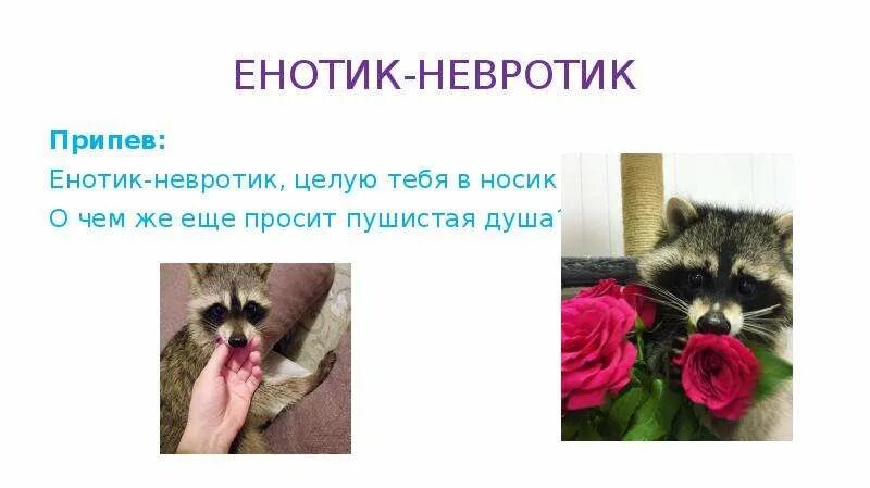 Кот флегматик. Кот невротик мем. Котик невротик. Мотивирующий котик. Мемы про невротиков.