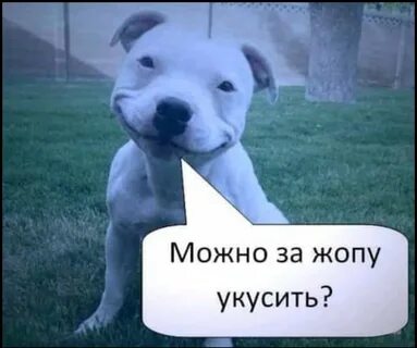 А можно я не