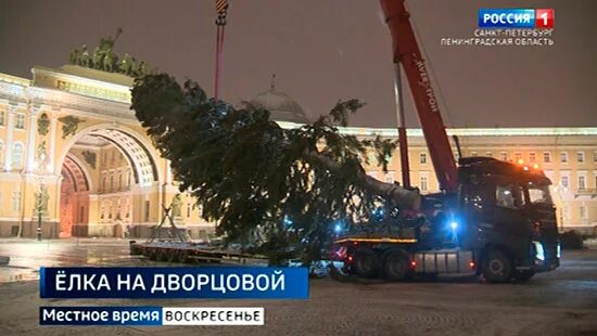 Дворцовая площадь 2025. Дворцовая площадь 2025