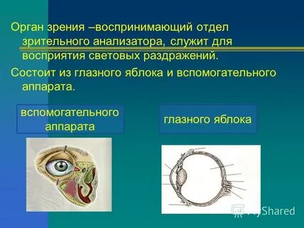 Зрительные раздражители