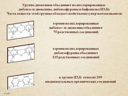 Какой из терминов объединяет все остальные