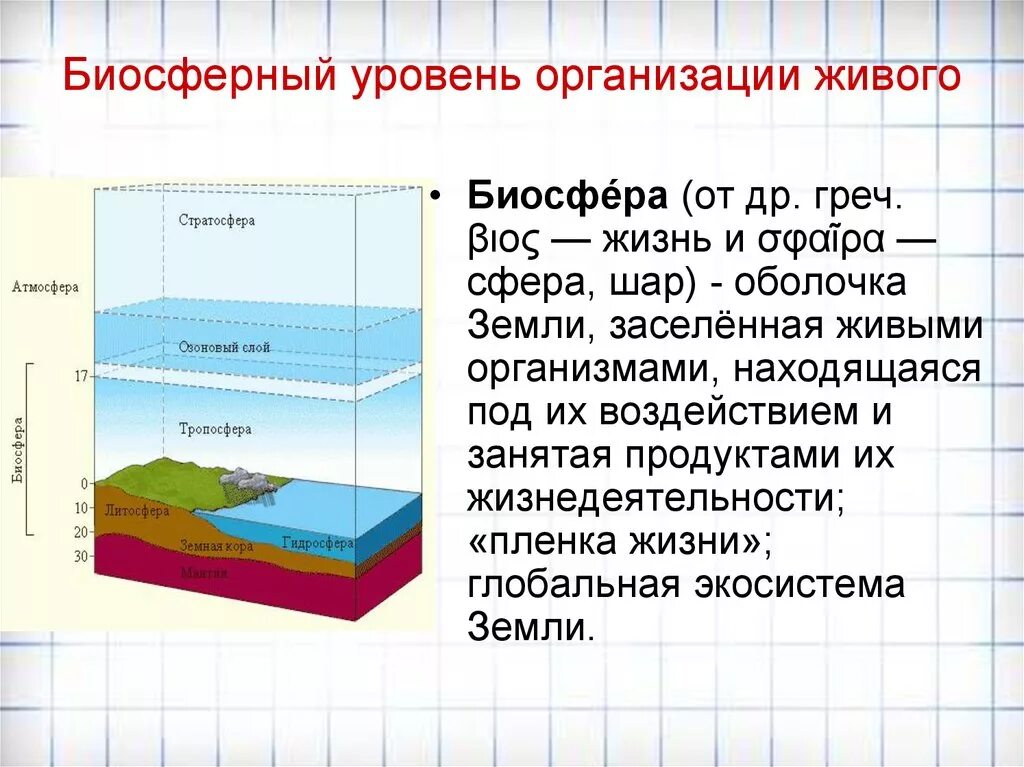 Биосфера это оболочка земли населенная живыми организмами. Уровни организации биосферы. Биосферный уровень. Биосферный уровень уровень. Оболочка земли населенная живыми организмами.