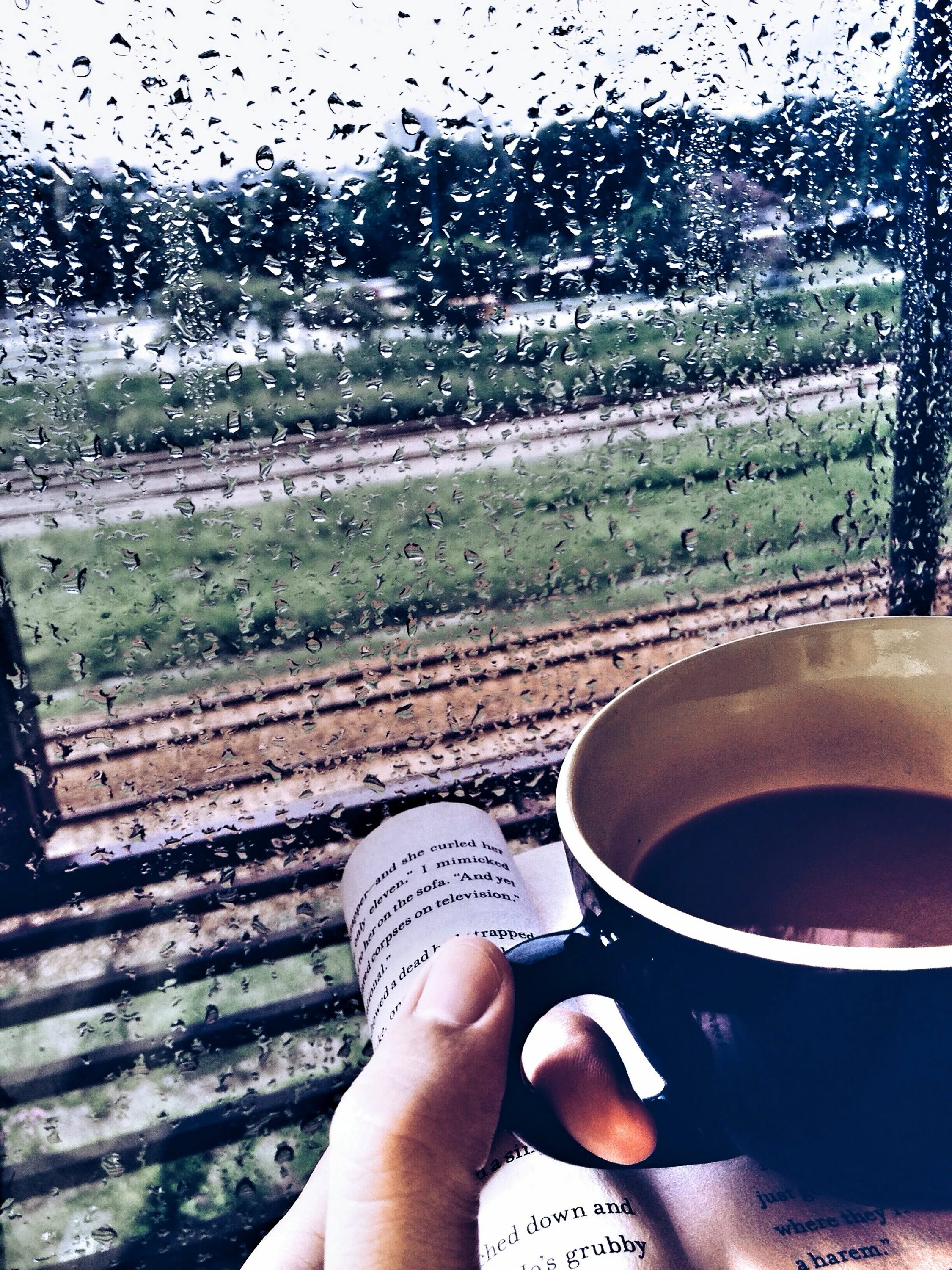 Сегодня дождь чай нетронутый. Чай дождь. горячий чай и дождь. дождик и чай. чай под дождем.