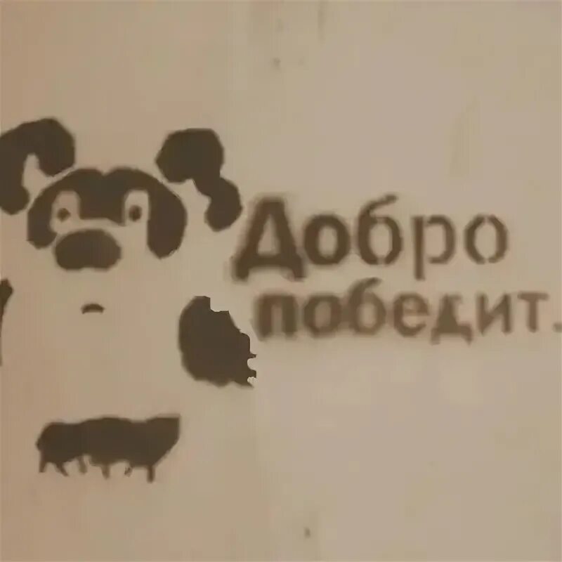 Футболка добро. Добро победит. Когда победит добро. Когда победит добро. Майка добро победит.
