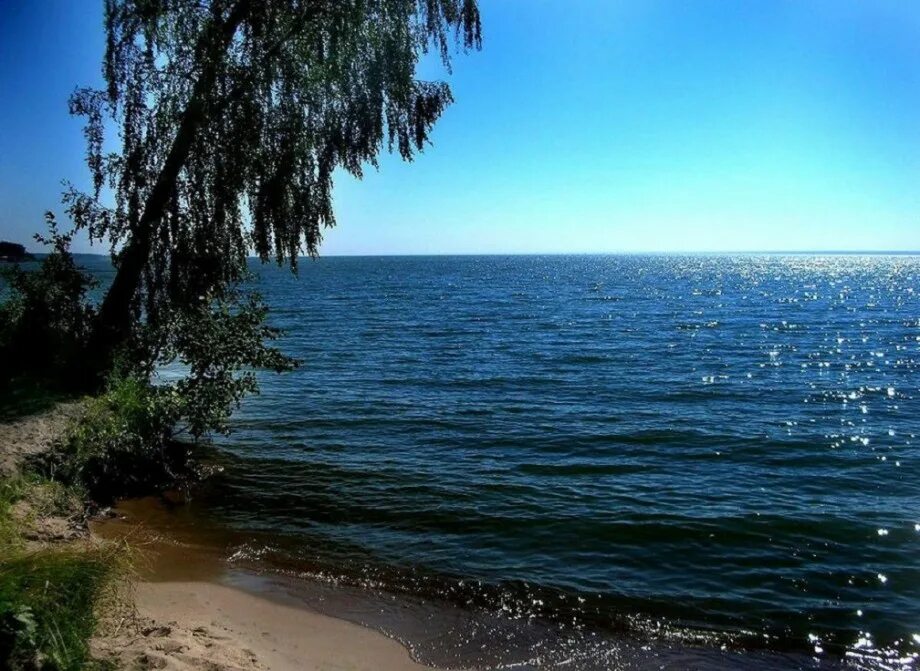 Берег Обского моря Новосибирск. Обское водохранилище Новосибирск. Бердское Обское море. Обское водохранилище Бердск.