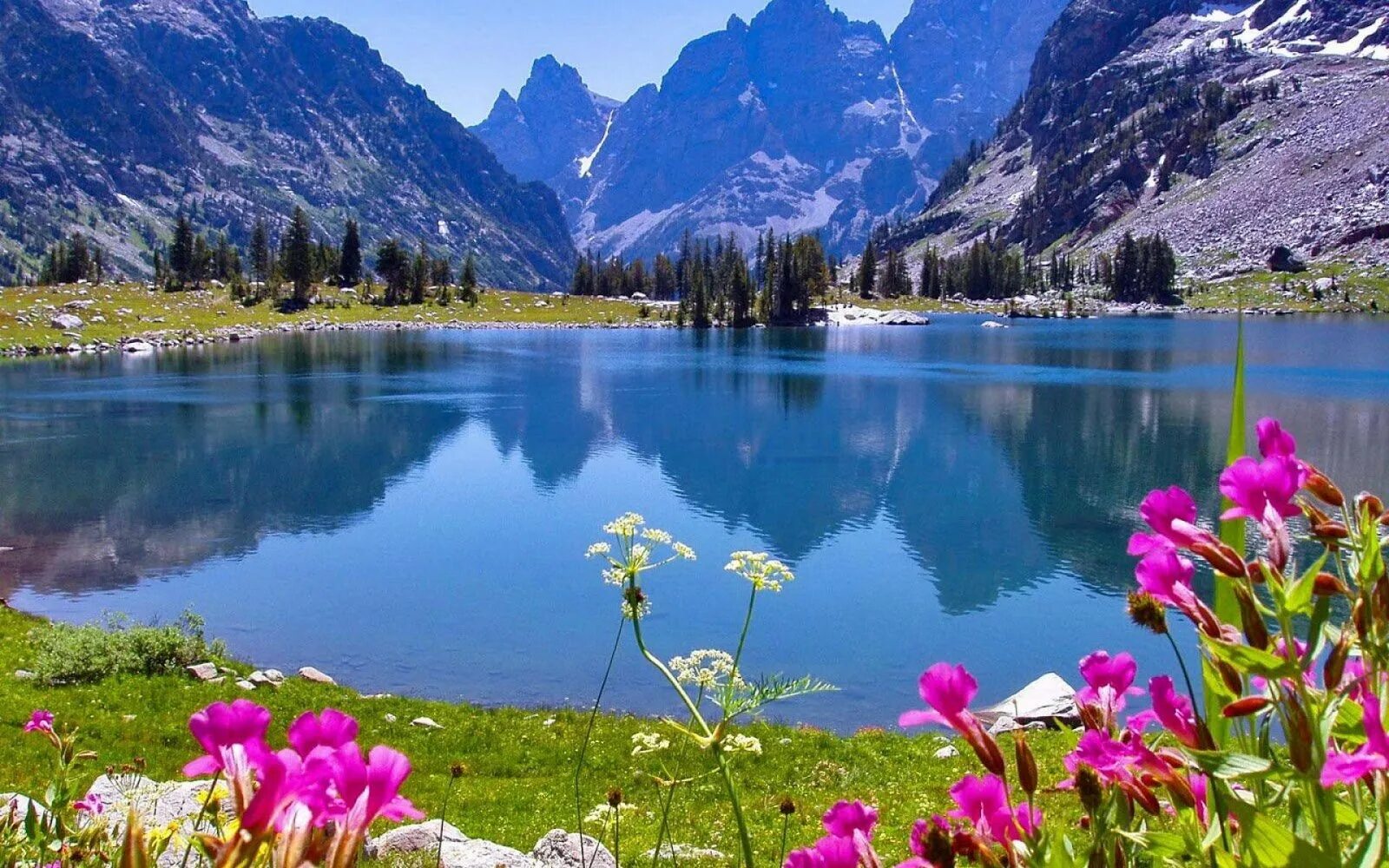 Красивый пейзаж весенний