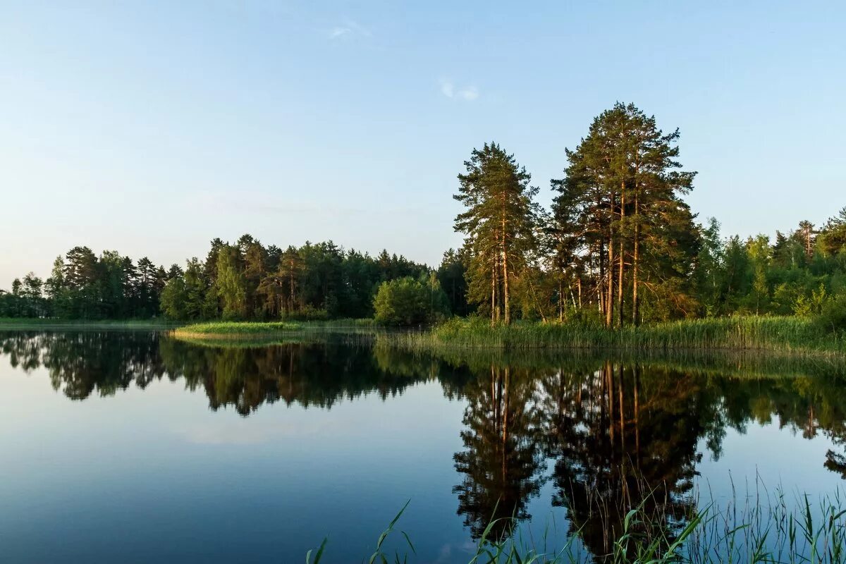 церковь с. церковь архангела михаила нижний новгород козино. церковь село туманово арзамасский район. село болдино нижегородская область. храм село туманово.