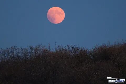 Над рощей красный