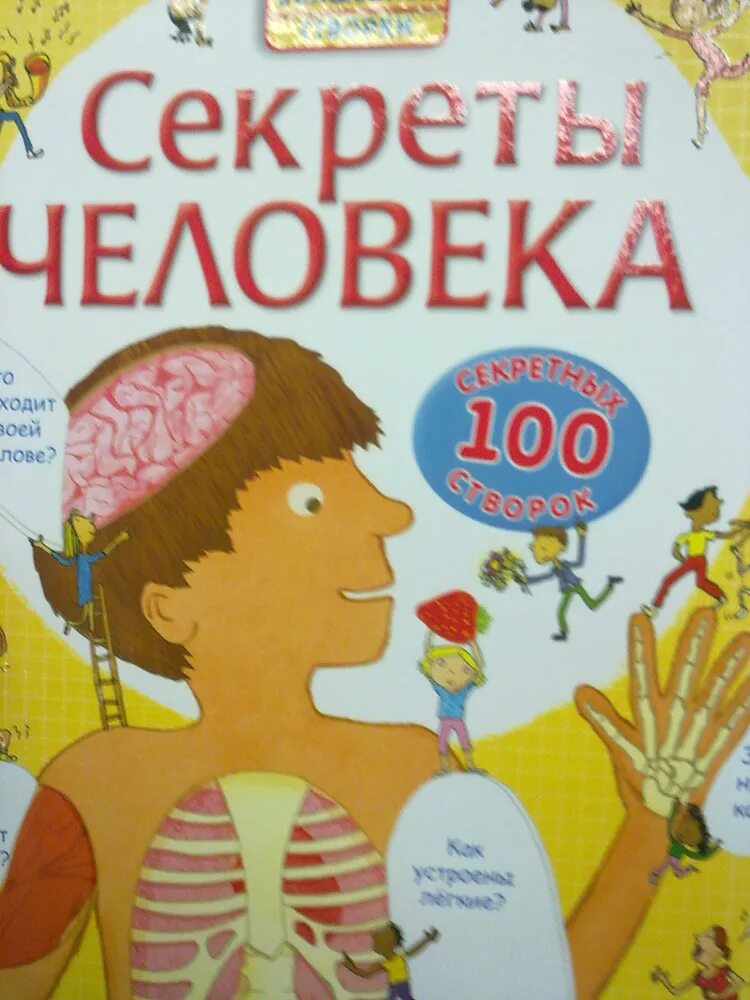 секреты человека детская. тайны человека. секреты человека видео. 100 секретных створок стовелл л. книга секреты человека.