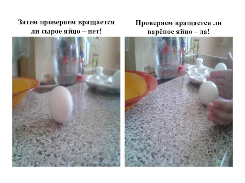 Сырое яйцо крутится. Если яйцо крутится. Яйцо крутится вареное или сырое. Вареное яйцо крутится.