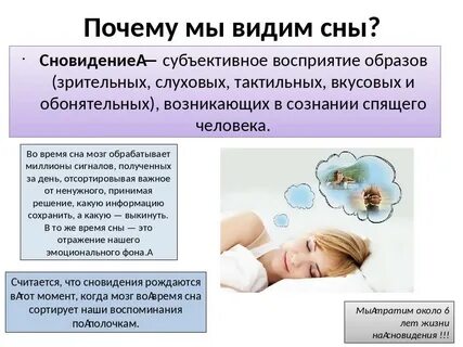 Почему нам снятся сны