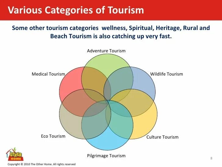 Tourism перевод. Adventure Tourism statistics. Ubekiston туризм диаграмма. Таблица Travel and Tourism. Domestic Tourism Definition.