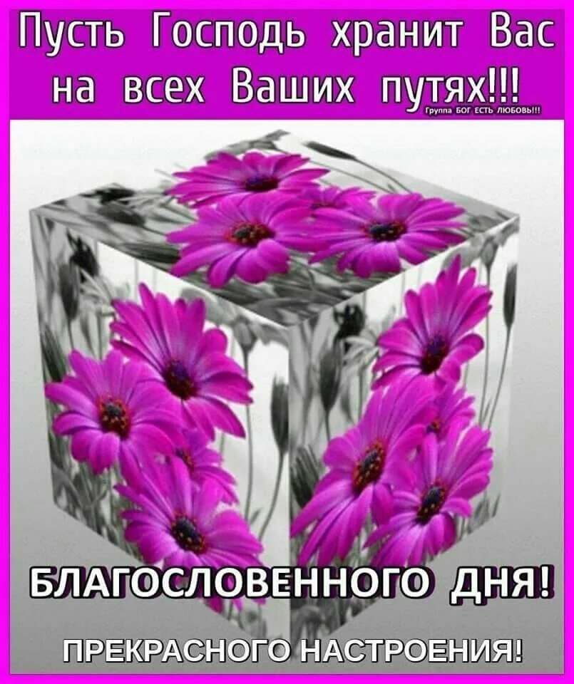 Доброе утро храни тебя господь. Доброе утро благословенного дня. Благословенного дня и доброго утра храни вас Бог. Доброе утро пусть Господь благословит вас. С добрым утром храни вас Господь.