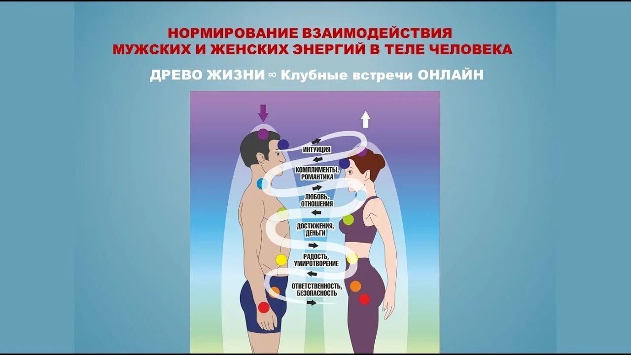 Женское и мужское в теле человека