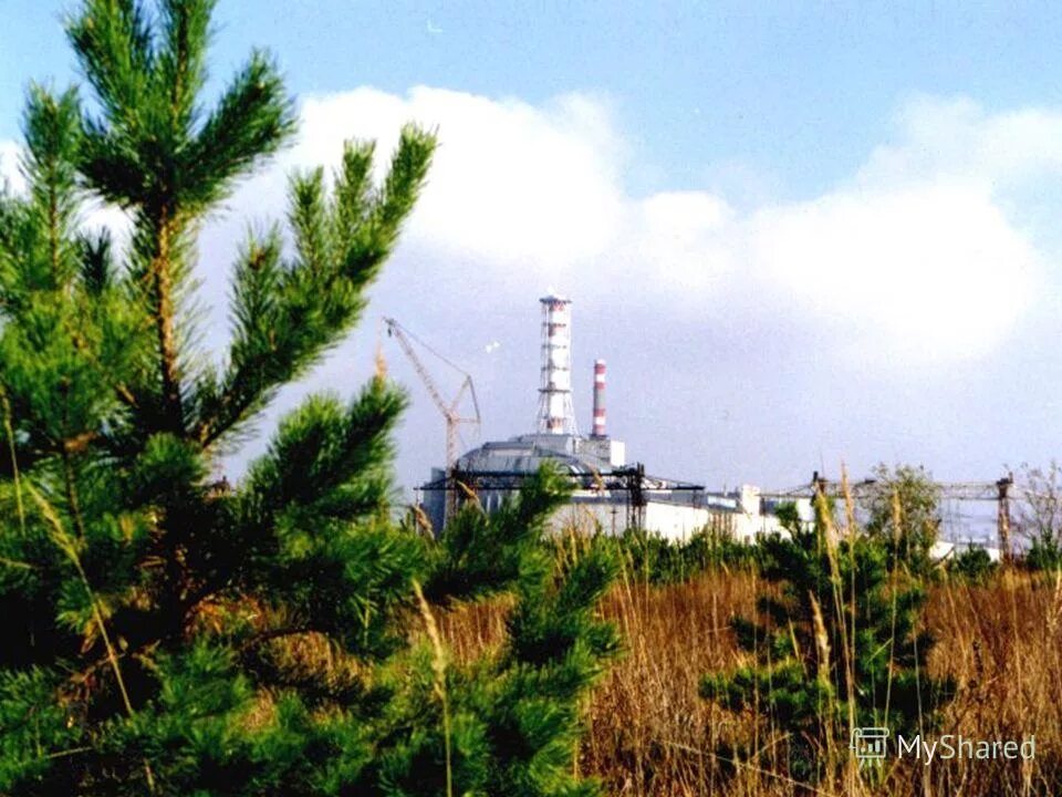 Чернобыльская АЭС до аварии. АЭС Чернобыль до аварии. Экологическая катастрофа ЧАЭС. Рыжий лес Чернобыль. Станция радиации