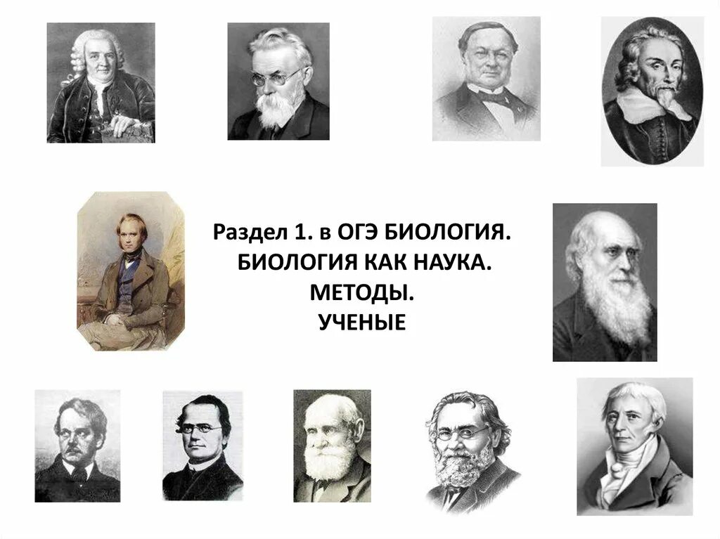 Ученые биологии. Ученые биологи. Ученые науки биологии. Ученые ОГЭ биология. Известно что в исследованиях ученых огэ